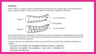 ◦ Questão 04
◦ (UFRJ) A figura 1, a seguir, mostra as vilosidades do intestino de uma serpente após um longo período de
jejum, enquanto a figura 2 mostra a mesma região minutos após a ingestão de alimentos.
◦
◦ Essa rápida alteração nas vilosidades é causada por um intenso aumento da irrigação sanguínea na porção
interna dessas estruturas. Tal mudança após a alimentação é importante para o aumento da eficiência do
processo de nutrição das serpentes.
◦ Por que a alteração nas vilosidades contribui para a eficiência da nutrição das serpentes? Justifique sua
resposta.
(
O aumento de tamanho das vilosidades intestinais aumenta a superfície
absortiva do duodeno das serpentes, o que torna a absorção de
nutrientes mais eficientes.
 