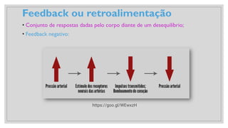 Feedback ou retroalimentação
• Conjunto de respostas dadas pelo corpo diante de um desequilíbrio;
• Feedback negativo:
https://goo.gl/WEwxzH
 