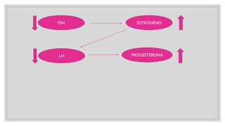 FSH ESTRÓGENO
LH PROGESTERONA
 