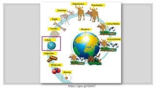 Unidades funcionais
https://goo.gl/iQ4i2T
 