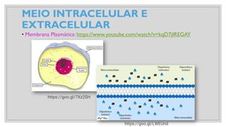 MEIO INTRACELULAR E
EXTRACELULAR
• Membrana Plasmática: https://www.youtube.com/watch?v=kqD7jIREGAY
https://goo.gl/7Xz2SH
https://goo.gl/LWEUnd
 