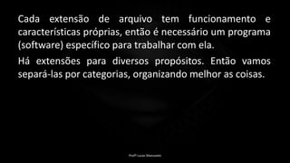 Cada extensão de arquivo tem funcionamento e
características próprias, então é necessário um programa
(software) específico para trabalhar com ela.
Há extensões para diversos propósitos. Então vamos
separá-las por categorias, organizando melhor as coisas.
Profº Lucas Mansueto
 