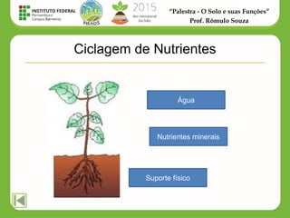 “Palestra - O Solo e suas Funções”
Prof. Rômulo Souza
Ciclagem de Nutrientes
Suporte físico
Água
Nutrientes minerais
 