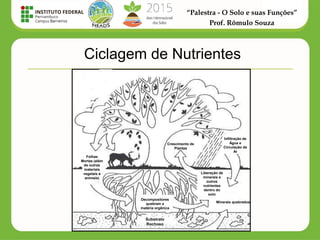 “Palestra - O Solo e suas Funções”
Prof. Rômulo Souza
Ciclagem de Nutrientes
Crescimento de
Plantas
Infiltração de
Água e
Circulação de
Ar
Liberação de
minerais e
outros
nutrientes
dentro do
solo
Minerais quebrados
Decompositores
quebram a
matéria orgânica
Substrato
Rochoso
Folhas
Mortas (além
de outras
materiais
vegetais e
animais)
 