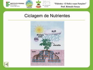 “Palestra - O Solo e suas Funções”
Prof. Rômulo Souza
Ciclagem de Nutrientes
 