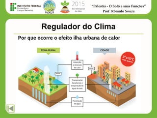“Palestra - O Solo e suas Funções”
Prof. Rômulo Souza
Regulador do Clima
 