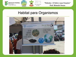 “Palestra - O Solo e suas Funções”
Prof. Rômulo Souza
Habitat para Organismos
 