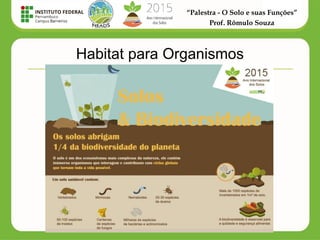 “Palestra - O Solo e suas Funções”
Prof. Rômulo Souza
Habitat para Organismos
 
