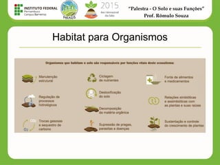 “Palestra - O Solo e suas Funções”
Prof. Rômulo Souza
Habitat para Organismos
 