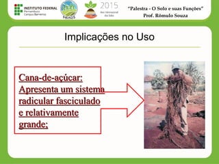 “Palestra - O Solo e suas Funções”
Prof. Rômulo Souza
Cana-de-açúcar:
Apresenta um sistema
radicular fasciculado
e relativamente
grande;
Implicações no Uso
 