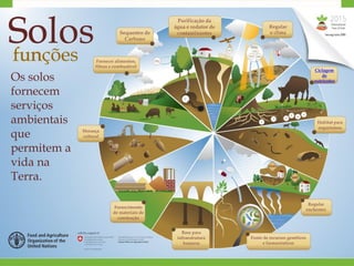 Solosfunções
Purificação da
água e redutor de
contaminantesSequestro de
Carbono
Fornecer alimentos,
fibras e combustível
Regular
o clima
Ciclagem
de
nutrientes
Habitat para
organismos
Regular
enchentes
Fonte de recursos genéticos
e farmacêuticos
Base para
infraestrutura
humana
Fornecimento
de materiais de
construção
Herança
cultural
Os solos
fornecem
serviços
ambientais
que
permitem a
vida na
Terra.
 