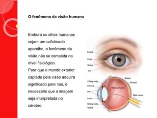 O fenômeno da visão humana
Embora os olhos humanos
sejam um sofisticado
aparelho, o fenômeno da
visão não se completa no
nível fisiológico.
Para que o mundo exterior
captado pela visão adquira
significado para nós, é
necessário que a imagem
seja interpretada no
cérebro.
 
