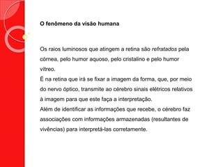 O fenômeno da visão humana
Os raios luminosos que atingem a retina são refratados pela
córnea, pelo humor aquoso, pelo cristalino e pelo humor
vítreo.
É na retina que irá se fixar a imagem da forma, que, por meio
do nervo óptico, transmite ao cérebro sinais elétricos relativos
à imagem para que este faça a interpretação.
Além de identificar as informações que recebe, o cérebro faz
associações com informações armazenadas (resultantes de
vivências) para interpretá-las corretamente.
 