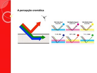 A percepção cromática
 