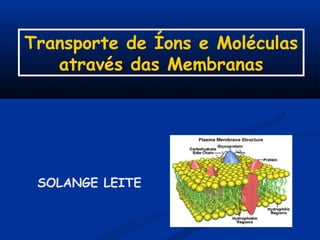 Transporte de Íons e Moléculas
através das Membranas

SOLANGE LEITE

 