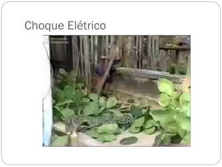 Choque Elétrico
 