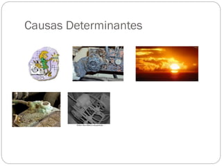 Causas Determinantes
 