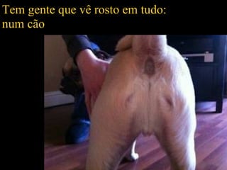 Tem gente que vê rosto em tudo:
num cão
 
