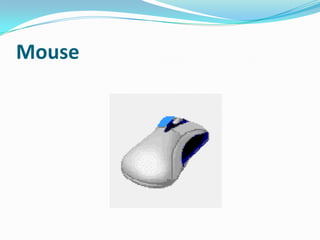 Mouse

 