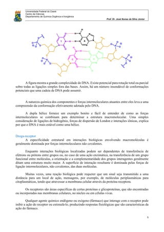 Universidade Federal do Ceará
Centro de Ciências
Departamento de Química Orgânica e Inorgânica
Prof. Dr. José Nunes da Silva Júnior
5
A figura mostra a grande complexidade do DNA. Existe potencial para rotação total ou parcial
sobre todas as ligações simples fora das bases. Assim, há um número insondável de conformações
potenciais que uma cadeia de DNA pode assumir.
A natureza química dos componentes e forças intermoleculares atuantes entre eles leva a uma
compreensão da conformação efetivamente adotada pelo DNA.
A dupla hélice fornece um exemplo bonito e fácil de entender de como as forças
intermoleculares se combinam para determinar a estrutura macromolecular. Uma simples
consideração de ligações de hidrogênio, forças de dispersão de London e interações iônicas, explica
por que o DNA é mais estável como uma hélice.
Droga-receptor
A especificidade estrutural em interações biológicas envolvendo macromoléculas é
geralmente dominada por forças intermoleculares não covalentes.
Enquanto interações biológicas localizadas podem ser dependentes de transferência de
elétrons ou prótons entre grupos ou, no caso de uma ação enzimática, na transferência de um grupo
funcional entre moléculas, a orientação e a complementaridade dos grupos interagentes geralmente
ditam uma estrutura muito maior. A superfície de interação resultante é dominada pelas forças de
ligação intermoleculares, não covalentes, das duas moléculas.
Muitas vezes, uma reação biológica pode requerer que um sinal seja transmitido a uma
distância para um local de ação, mensagens, por exemplo, de moléculas periplasmáticas para
citoplasmáticas, tendo que atravessar a membrana celular através da proteína receptora.
Os receptores são áreas específicas de certas proteínas e glicoproteínas, que são encontradas
ou incorporadas nas membranas celulares, no núcleo ou em células vivas.
Qualquer agente químico endógeno ou exógeno (fármaco) que interage com o receptor pode
inibir a ação do receptor ou estimulá-lo, produzindo respostas fisiológicas que são características da
ação do fármaco.
 