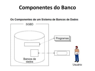 Componentes do Banco
 