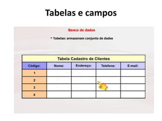 Tabelas e campos
 