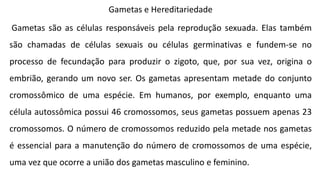 Gametas e Hereditariedade
Gametas são as células responsáveis pela reprodução sexuada. Elas também
são chamadas de células sexuais ou células germinativas e fundem-se no
processo de fecundação para produzir o zigoto, que, por sua vez, origina o
embrião, gerando um novo ser. Os gametas apresentam metade do conjunto
cromossômico de uma espécie. Em humanos, por exemplo, enquanto uma
célula autossômica possui 46 cromossomos, seus gametas possuem apenas 23
cromossomos. O número de cromossomos reduzido pela metade nos gametas
é essencial para a manutenção do número de cromossomos de uma espécie,
uma vez que ocorre a união dos gametas masculino e feminino.
 