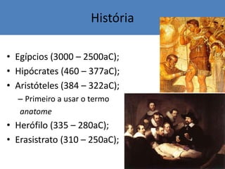 História
• Egípcios (3000 – 2500aC);
• Hipócrates (460 – 377aC);
• Aristóteles (384 – 322aC);
– Primeiro a usar o termo
anatome
• Herófilo (335 – 280aC);
• Erasistrato (310 – 250aC);
 