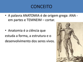 CONCEITO
• A palavra ANATOMIA é de origem grega: ANA -
em partes e TEMNEIM – cortar.
• Anatomia é a ciência que
estuda a forma, a estrutura e o
desenvolvimento dos seres vivos.
 