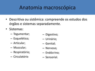 Anatomia macroscópica
• Descritiva ou sistêmica: compreende os estudos dos
órgãos e sistemas separadamente.
• Sistemas:
– Tegumentar;
– Esquelético;
– Articular;
– Muscular;
– Respiratório;
– Circulatório
– Digestivo;
– Urinário;
– Genital;
– Nervoso;
– Endócrino;
– Sensorial.
 