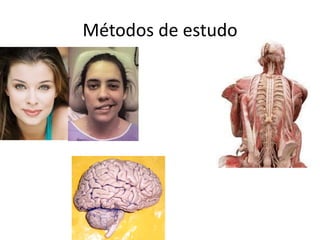 Métodos de estudo
 