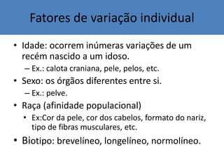 Fatores de variação individual
• Idade: ocorrem inúmeras variações de um
recém nascido a um idoso.
– Ex.: calota craniana, pele, pelos, etc.
• Sexo: os órgãos diferentes entre si.
– Ex.: pelve.
• Raça (afinidade populacional)
• Ex:Cor da pele, cor dos cabelos, formato do nariz,
tipo de fibras musculares, etc.
• Biotipo: brevelíneo, longelíneo, normolíneo.
 