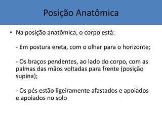 • Na posição anatômica, o corpo está:
- Em postura ereta, com o olhar para o horizonte;
- Os braços pendentes, ao lado do corpo, com as
palmas das mãos voltadas para frente (posição
supina);
- Os pés estão ligeiramente afastados e apoiados
e apoiados no solo
Posição Anatômica
 