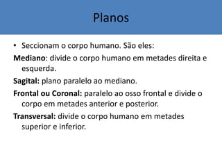 Planos
• Seccionam o corpo humano. São eles:
Mediano: divide o corpo humano em metades direita e
esquerda.
Sagital: plano paralelo ao mediano.
Frontal ou Coronal: paralelo ao osso frontal e divide o
corpo em metades anterior e posterior.
Transversal: divide o corpo humano em metades
superior e inferior.
 