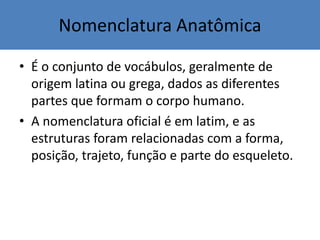 Nomenclatura Anatômica
• É o conjunto de vocábulos, geralmente de
origem latina ou grega, dados as diferentes
partes que formam o corpo humano.
• A nomenclatura oficial é em latim, e as
estruturas foram relacionadas com a forma,
posição, trajeto, função e parte do esqueleto.
 