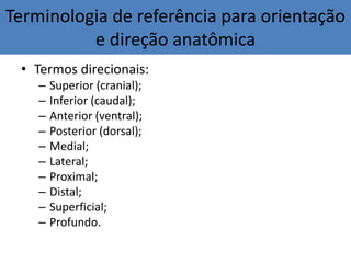 Terminologia de referência para orientação
e direção anatômica
• Termos direcionais:
– Superior (cranial);
– Inferior (caudal);
– Anterior (ventral);
– Posterior (dorsal);
– Medial;
– Lateral;
– Proximal;
– Distal;
– Superficial;
– Profundo.
 