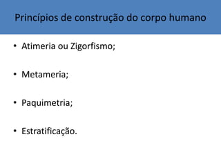 Princípios de construção do corpo humano
• Atimeria ou Zigorfismo;
• Metameria;
• Paquimetria;
• Estratificação.
 