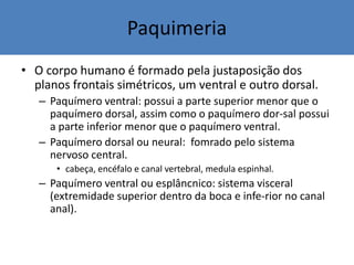 Paquimeria
• O corpo humano é formado pela justaposição dos
planos frontais simétricos, um ventral e outro dorsal.
– Paquímero ventral: possui a parte superior menor que o
paquímero dorsal, assim como o paquímero dor-sal possui
a parte inferior menor que o paquímero ventral.
– Paquímero dorsal ou neural: fomrado pelo sistema
nervoso central.
• cabeça, encéfalo e canal vertebral, medula espinhal.
– Paquímero ventral ou esplâncnico: sistema visceral
(extremidade superior dentro da boca e infe-rior no canal
anal).
 