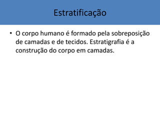 Estratificação
• O corpo humano é formado pela sobreposição
de camadas e de tecidos. Estratigrafia é a
construção do corpo em camadas.
 