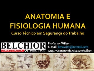 Professor Wilson 
E-mail: limawjm@hotmail.com 
Arquivosanatomia.wix.com/wilson  