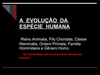 A  EVOLUÇÃO  DA  ESPÉCIE  HUMANA   Reino Animalia, Filo Chordata, Classe Mammalia, Ordem Primata, Família Hominideos e Gênero Homo.    ” Os hominídeos são os ancestrais diretos do homem”.  