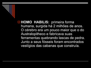 HOMO  HABILIS:   primeira forma humana, surgida há 2 milhões de anos. O cérebro era um pouco maior que o do Australopitheco e fabricava suas ferramentas quebrando lascas de pedra. Junto a seus fósseis foram encontrados vestígios das cabanas que construía. 