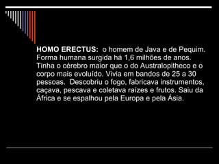 HOMO ERECTUS:   o homem de Java e de Pequim. Forma humana surgida há 1,6 milhões de anos.  Tinha o cérebro maior que o do Australopitheco e o corpo mais evoluído. Vivia em bandos de 25 a 30 pessoas.  Descobriu o fogo, fabricava instrumentos, caçava, pescava e coletava raízes e frutos. Saiu da África e se espalhou pela Europa e pela Ásia.      