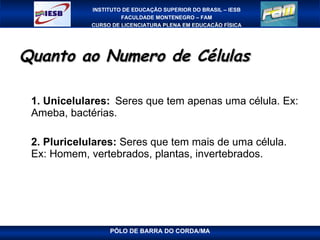 Quanto ao Numero de Células 1. Unicelulares:  Seres que tem apenas uma célula. Ex: Ameba, bactérias. 2. Pluricelulares:  Seres que tem mais de uma célula. Ex: Homem, vertebrados, plantas, invertebrados. 