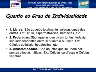 Quanto ao Grau de Individualidade 1. Livres:  São aquelas totalmente isoladas umas das outras. Ex: Óvulo, espermatozóide, hemácias, etc. 2. Federadas:  São aquelas que vivem juntas, todavia são independentes entre si quanto à nutrição. Ex: Células epiteliais, hepatócitos, etc. 3. Anastomosadas:  São aquelas que se unem por pontes citoplasmáticas. Ex.: Células cardíacas e Células vegetais. 