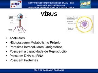 VÍRUS Acelulares Não possuem Metabolismo Próprio Parasitas Intracelulares Obrigatórios Possuem a capacidade de Reprodução Possuem DNA ou RNA Possuem Proteínas 