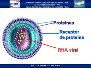 Proteínas Receptor de proteína RNA viral 