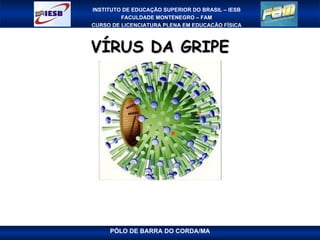 VÍRUS DA GRIPE 