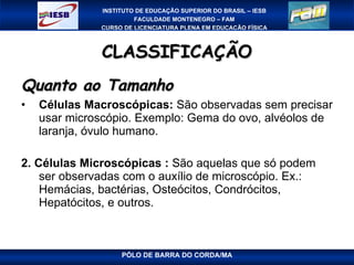 CLASSIFICAÇÃO Quanto ao Tamanho Células Macroscópicas:  São observadas sem precisar usar microscópio. Exemplo: Gema do ovo, alvéolos de laranja, óvulo humano. 2. Células Microscópicas :  São aquelas que só podem ser observadas com o auxílio de microscópio. Ex.: Hemácias, bactérias, Osteócitos, Condrócitos, Hepatócitos, e outros. 