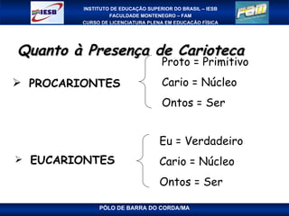 Quanto à Presença de Carioteca PROCARIONTES   EUCARIONTES   Proto = Primitivo Cario = Núcleo Ontos = Ser Eu = Verdadeiro Cario = Núcleo Ontos = Ser 